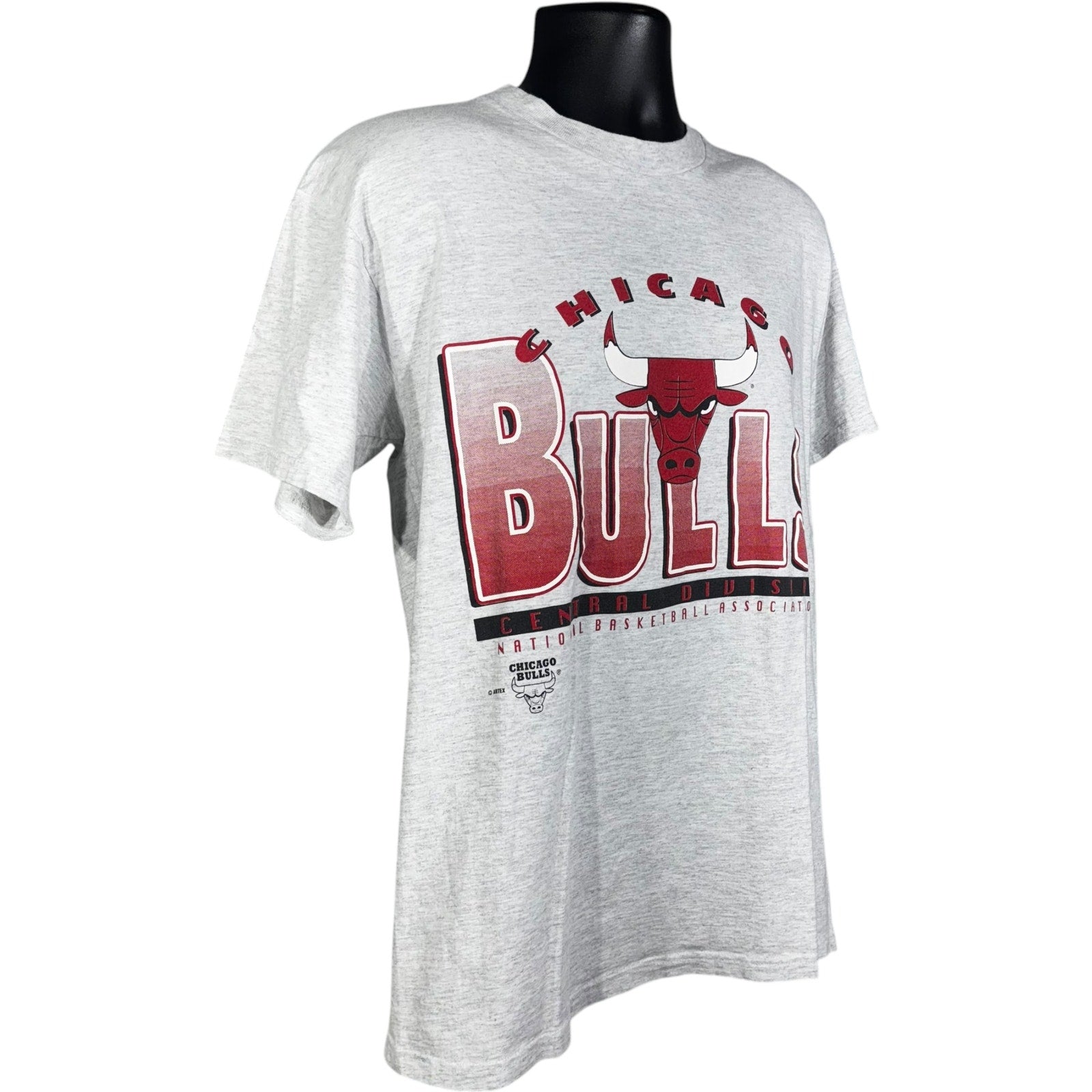 Vintage Chicago Bulls NBA Spellout Tee 90s